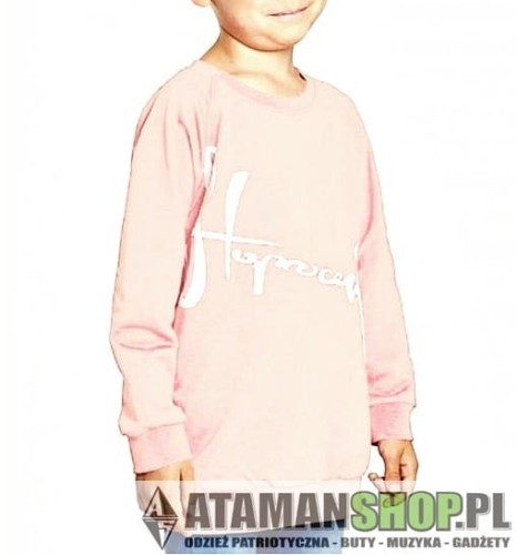 9056b5b1fce405c6ebcc8c932ea934a6