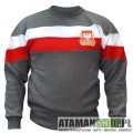 BLUZA PATRIOTYCZNA KLASYCZNA SZARA PASY AQUILA POLSKA1.jpg