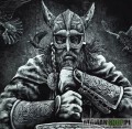 KOSZULKA VIKING - NORSEMEN HD2.jpg