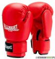 Rękawice bokserskie treningowe ALLRIGHT PVC SW020701.jpg