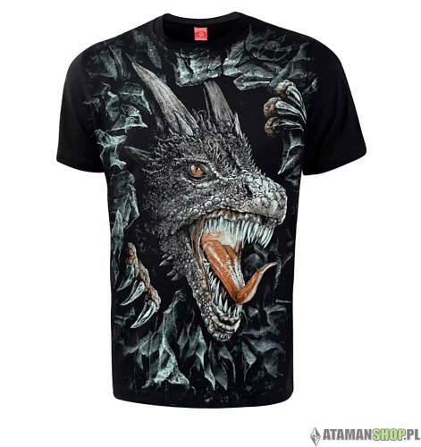 koszulka dragon stone1.jpg
