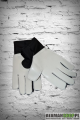 DSC_0067-removebg-preview.png