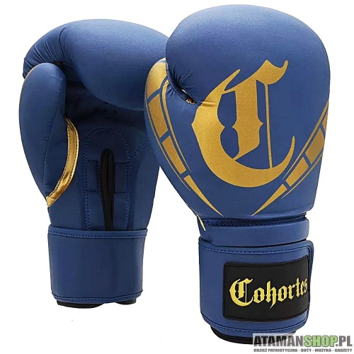 rękawice sericum niebiesko złote1.jpg