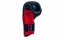 Rękawice bokserskie treningowe ze skóry naturalnej DBX PRO BUSHIDO 14 OZ sportowe
