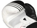 Profesjonalne Rękawice Bokserskie Treningowe DBX BUSHIDO 10 oz 12 oz 14 oz