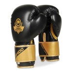Rękawice treningowe bokserskie, sparingowe DBX BUSHIDO B-2v10 sportowe