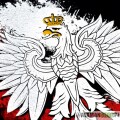 Koszulka Orzeł flaga2.jpg