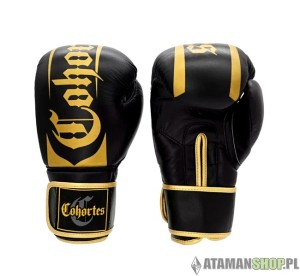 Rękawice skóra boks Kickboxing Muay Thai