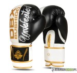 Rękawice bokserskie Valor