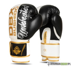 Rękawice bokserskie Valor