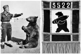 Miś Wojtek – patriotyczny polski niedźwiedź walczący w polskiej armii